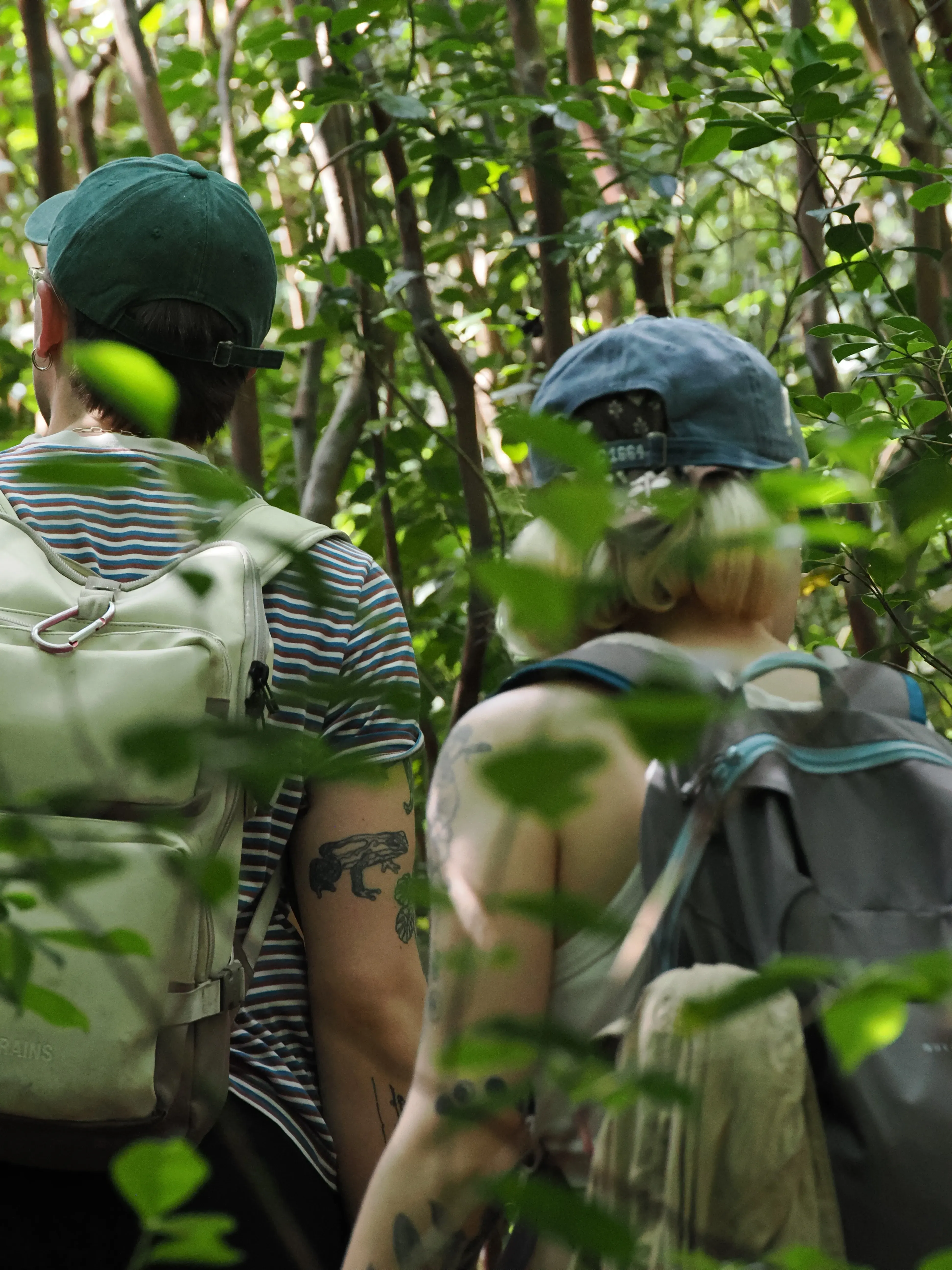 Master students walking in the forest. Image credit - Gaia Caravella A couple of people walking through the forest