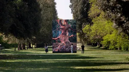 Of the Oak at Kew Gardens, © Sandra Ciampone