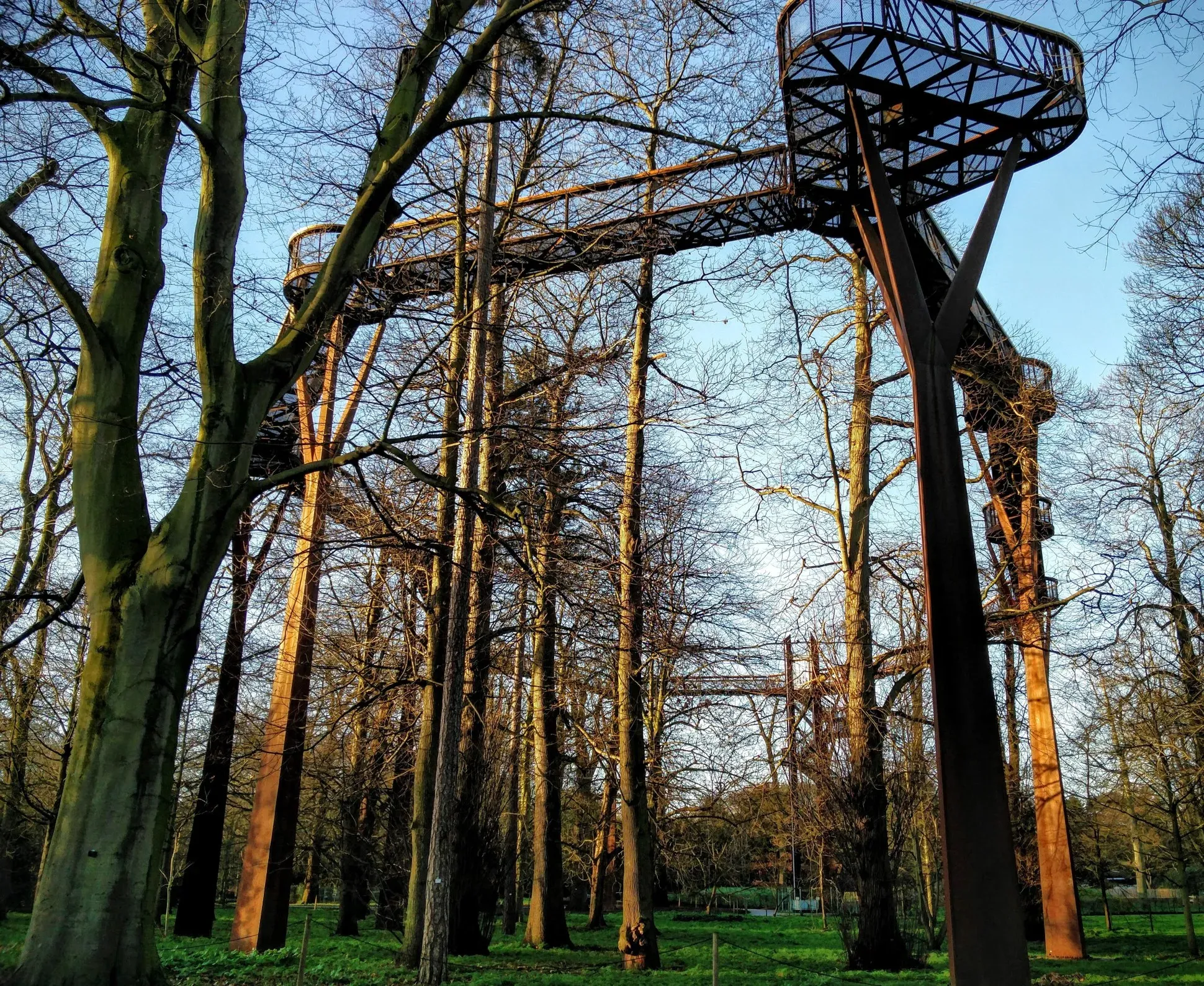 Treetop Walkway, RBG Kew Treetop Walkway viewed from the ground