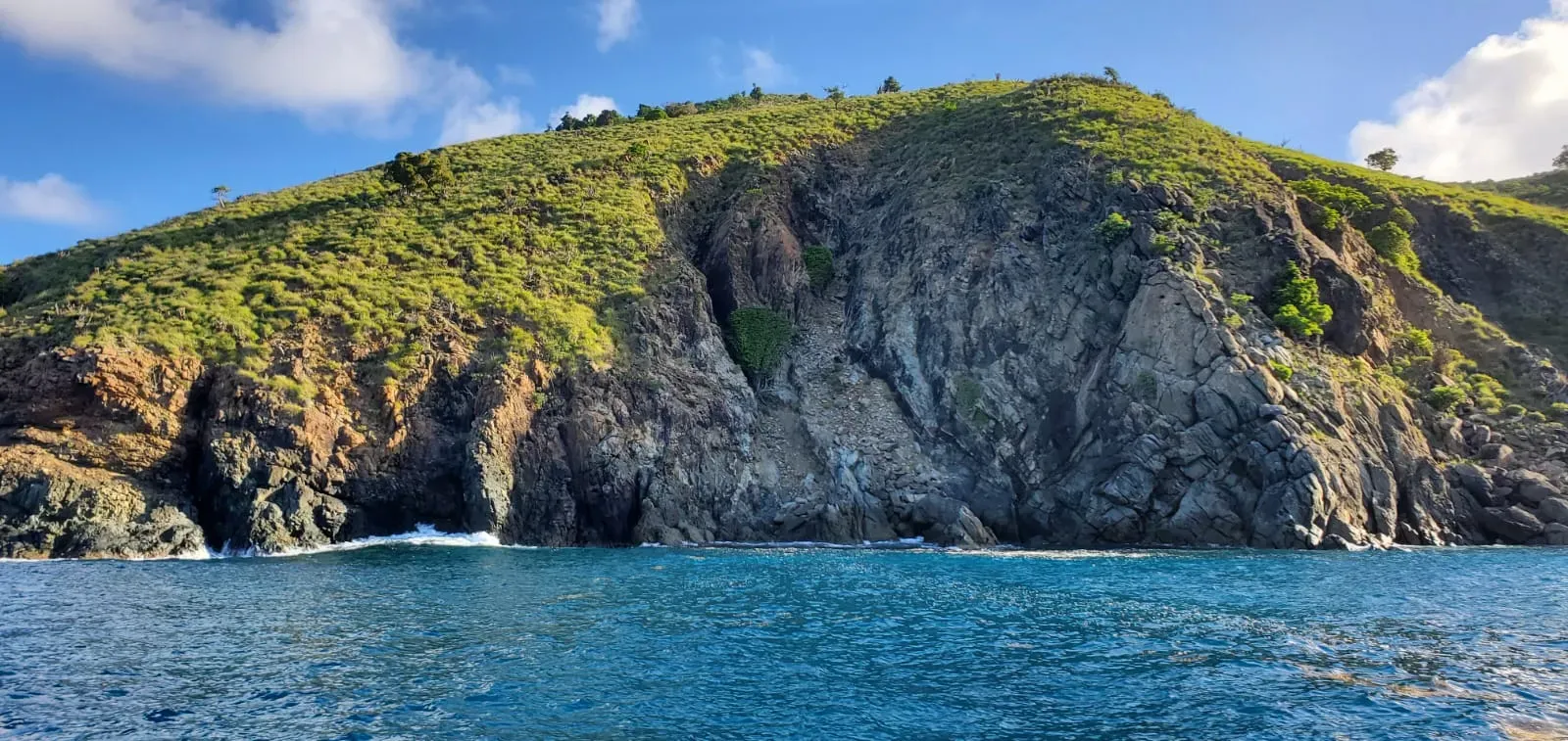 A small rocky island is dotted with small plants
